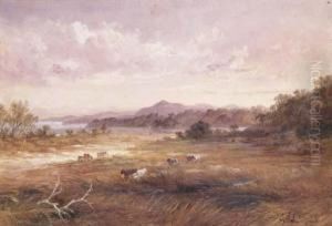 Coastal Scene With Cattle, New South Wales by James Howe Carse