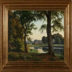Forrest Scenery With View To A Lake
