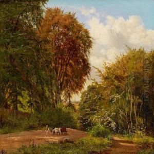 Forest Scenery