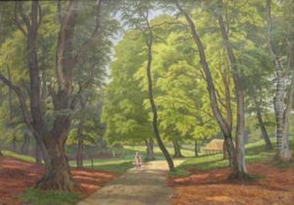 Paysage - view 1