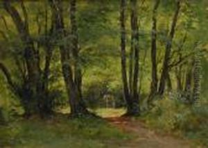 Cueuillette En Foret