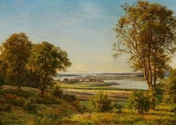 Danish Summer Landscape - view 1