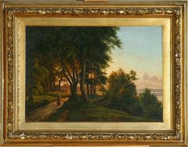 A Danish Forest Scenery By Sunset - view 1
