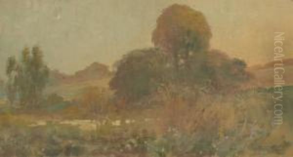 Paysage - view 1