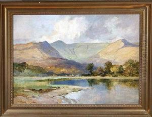 A View In The Lake District
