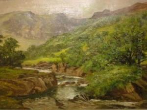 An Upland Stream