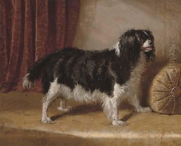 A Spaniel On The Divan - view 1