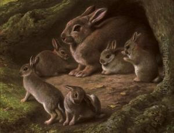 Rabbits In A Wood - view 1
