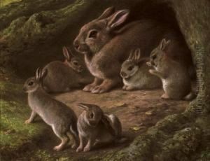 Rabbits In A Wood by Samuel John Carter