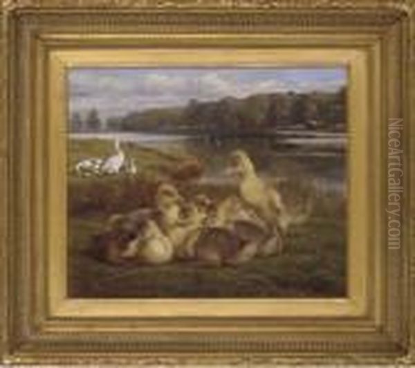 Ducklings On A River Bank - view 1