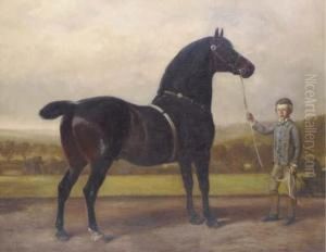 Greatshot, Held By A Groom by Samuel John Carter