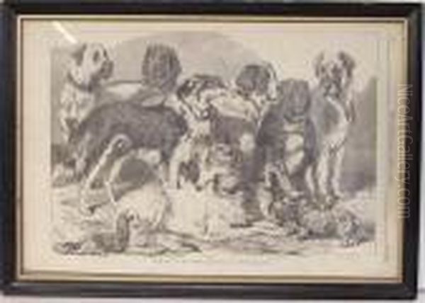 Prize Dogs In The National Dog Show In Islington - view 1