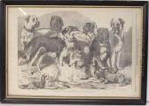 Prize Dogs In The National Dog Show In Islington