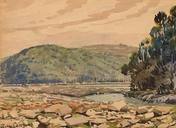 A Cape Landscape. - view 1