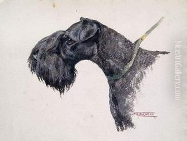 Tete De Scottisch-terrier - view 1