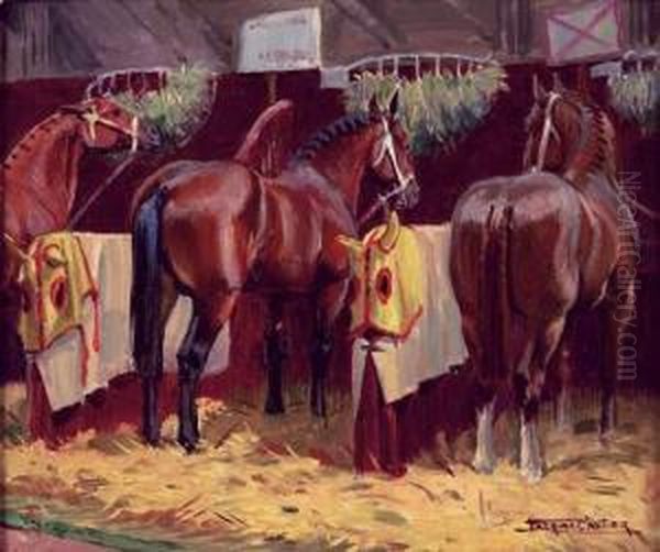 Chevaux Dans Leurs Box - view 1