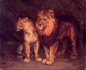 Lion Et Lionne A L'arret Lion Et Lionne A L'arret