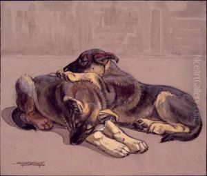 Deux Chiens Bergers Couches Deux Chiens Bergers Couches