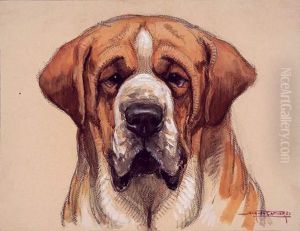 Tete De Saint-bernard