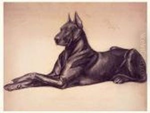 Dogue Couche