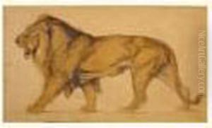 Lion Marchant De Profil