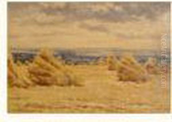 Gerbes De Ble En Bord De Mer - view 1