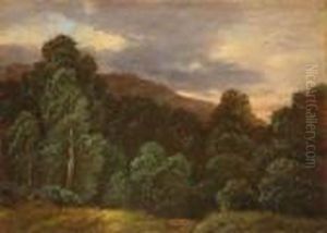 Laubwald. Landschaft Mit Vogeln Und Baumen Laubwald. Landschaft Mit Vogeln Und Baumen