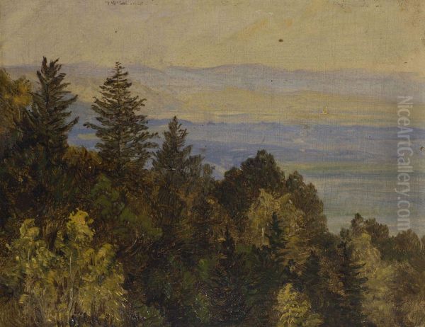 Blick Uber Einen Bewaldeten Abhang In Weite Gebirgslandschaft - view 1