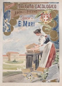Istituto Bacologico by Carlo Casaltoli