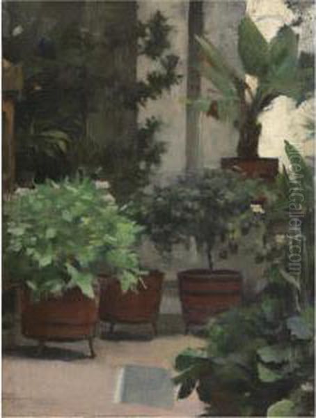 Rincon De Mi Jardin (corner Of My Garden) - view 1