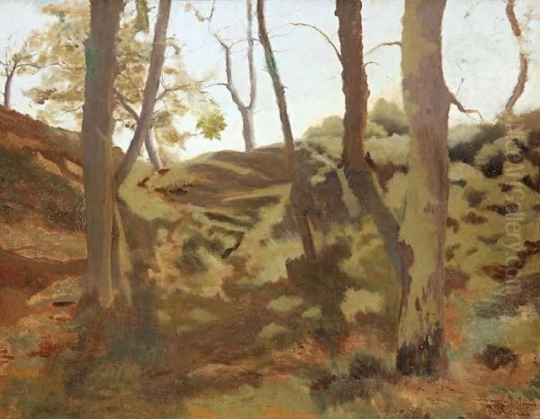 Paisaje - view 1