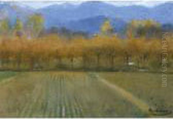 Paisaje Otonal De San Benet De Bages (autumn Landscape, San Benet De Bages) - view 1