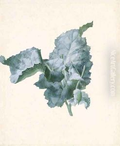 A Large Leaf A Large Leaf