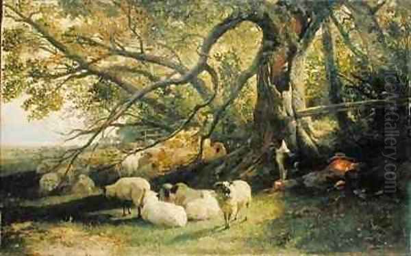 Resting Flock - view 1