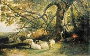 Resting Flock by John William Bottomley
