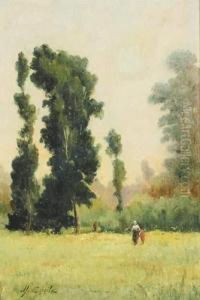 Paysage