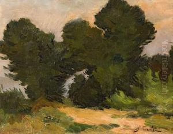 Chemin En Provence. - view 1