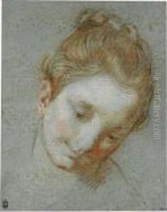 The Head Of A Woman The Head Of A Woman