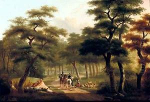 Horse riding in the forest