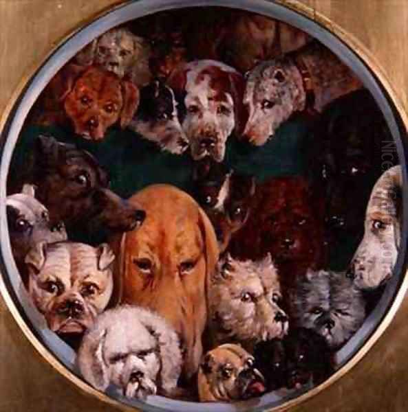Twenty Dogs - view 1