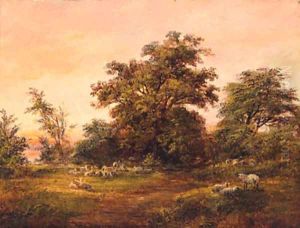 Sheep grazing at the Edge of a Copse