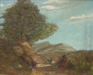 Paysage De Provence