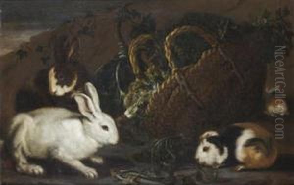 Lapins Et Cochons D'inde Autour D'un Panier D'herbes - view 1