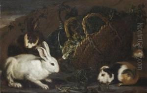 Lapins Et Cochons D'inde Autour D'un Panier D'herbes by Giovanni Agostino Cassana