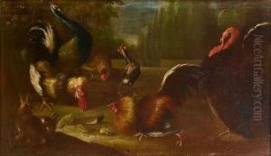 A Turkey, Peacock And Cockerels With A Rabbit In A Landscape by Giovanni Agostino Cassana