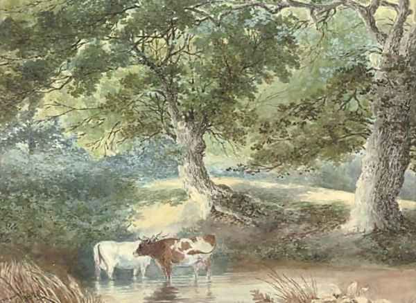Cattle watering - view 1