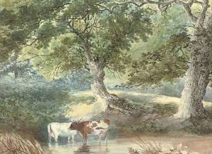 Cattle watering by Stephen J. Bowers