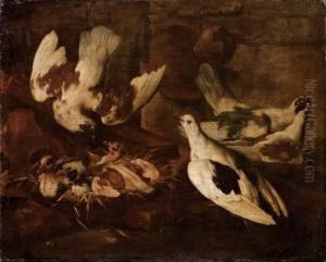 Piccionaia by Giovanni Agostino Cassana