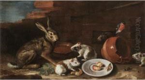 A Farmyard Scene With A Still
Life Of A Rabbit, Guinea Pigs, Apple-peel And A Butterfly On A Plate,
Together With A Terracotta Jug And Bowl by Giovanni Agostino Cassana