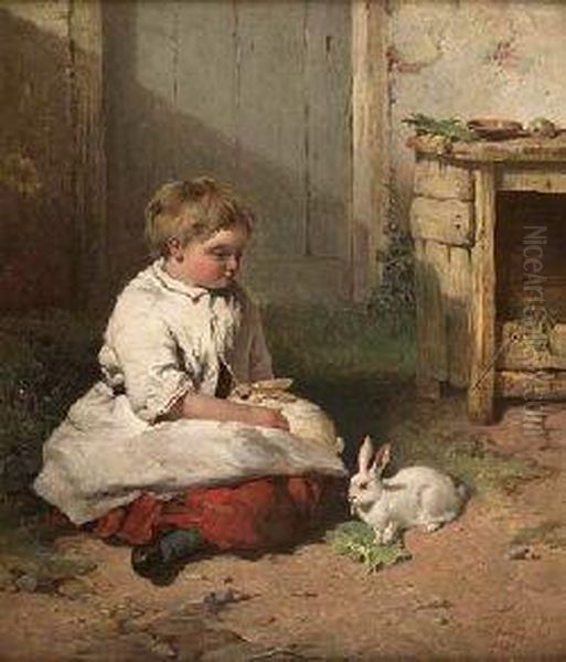 Pet Rabbits - view 1